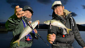 【追/見】特捜AJIENT 3 尺アジをキャッチせよ！