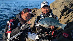 【追/見】楽釣楽磯宣言 79 和歌山県すさみで秋の磯釣り