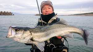 【追/見】Dz SALT 2ND 16 秋田シーバスゲーム