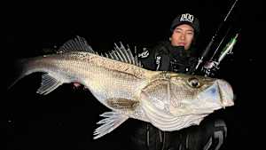 【追/見】シーバスGap！ 3 晩秋の東京湾奥