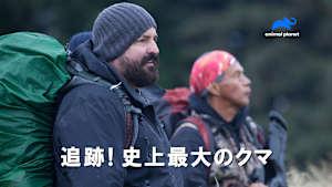 【見逃し】追跡！史上最大のクマ（字）