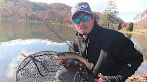 【追/見】AREA WARS -Advance- 1