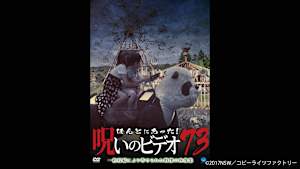 【見逃し】ほんとにあった！呪いのビデオ73