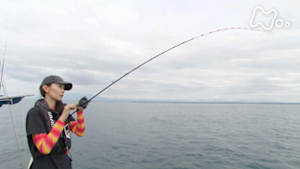 釣りびと万歳　“えさ泥棒”ウマヅラハギとの攻防～滝沢沙織　山形・酒田沖～