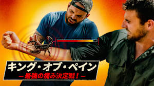 キング・オブ・ペイン -最強の痛み決定戦！-