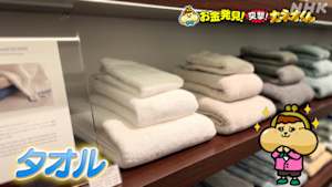 有吉のお金発見　突撃！カネオくん　絶賛フワフワ進化中！タオルのお金のヒミツ