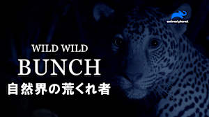 自然界の荒くれ者