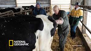 スゴ腕どうぶつドクター 13「大雪でピンチ」
