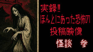 実録！！ほんとにあった恐怖の投稿映像 怪談 参