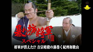 暴れん坊将軍IIIスペシャル 将軍が消えた！？吉宗暗殺の渦巻く紀州和歌山