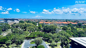 世界ふれあい街歩き　神々の島　バリ島デンパサール～インドネシア～