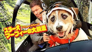 スター犬マーフィーの大脱走