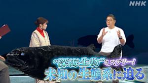 サイエンスＺＥＲＯ　“深海生物”ミステリー！未知の生態系に迫る