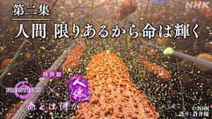 フロンティア　人体　特別版　第二集　人間　限りあるから命は輝く