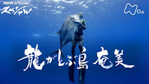 Ｎスペ　龍がとぶ島　奄美