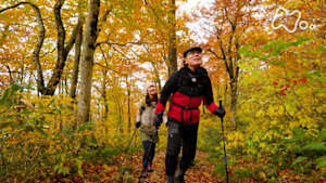 にっぽん百低山　太平山・秋田