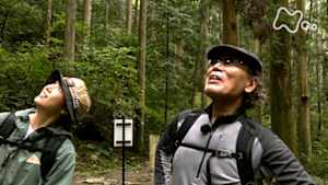 にっぽん百低山　鳳来寺山（ほうらいじさん）・愛知