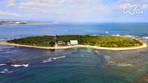 小さな旅　笑顔咲く南国の海～宮崎県　青島～