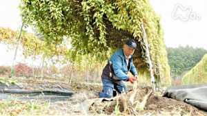 小さな旅　水　こんこんと～栃木県　大田原市～