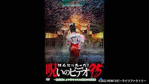 【見逃し】ほんとにあった！呪いのビデオ95