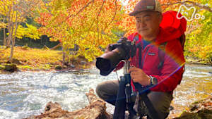 ワイルドライフ　日本列島　きのこの森の小宇宙