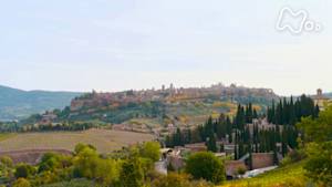 世界ふれあい街歩き　時をつなぐ天空の街～イタリア・オルビエート～