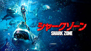 シャークゾーン