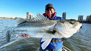【追/見】魚種格闘技戦！ 249 鹿島＆常陸利根川シーバス