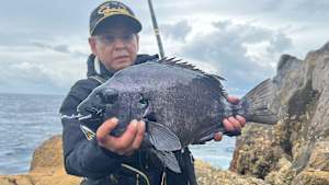 【追/見】G WORLD 51 男女群島 イシダイ釣り