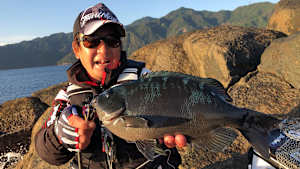 【追/見】楽釣楽磯宣言 63 尾鷲エリア 寒グレ好調宣言！