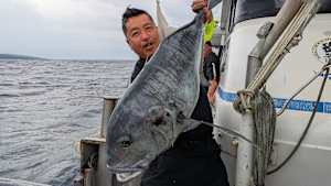 【追/見】Standing Hunts 10