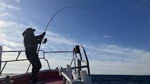 【追/見】SALT Dreamer 98 南房キャスティング