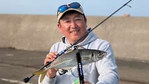 【追/見】青色アジング 8 尺アジ無双！衝撃の新潟県直江津