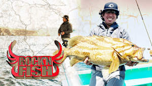 【追/見】Rock’n Fish 108