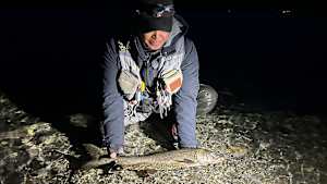 【追/見】トラウトギャラリー 中禅寺湖のレイクトラウト