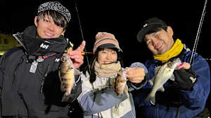 【追/見】海と青の物語 13 瀬戸内 冬のライトゲーム