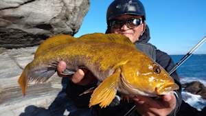 【追/見】Dz SALT 2ND 17 宮城ロックフィッシュ