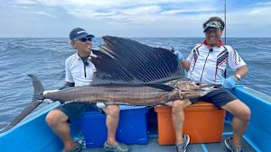 【追/見】魚種格闘技戦！ 274 極翔！セイルフィッシュ後篇