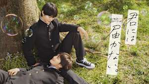 君には届かない。