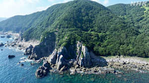 新日本風土記　南紀・白浜　海山のあいだに