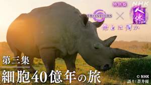 フロンティア　人体　特別版　第三集　細胞４０億年の旅