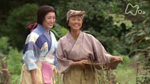 大河ドラマ　功名が辻　第　７回　妻の覚悟