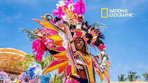 【見逃し】ディズニー・ルックアウト・ケイ・アット・ライトハウス・ポイントの魔法