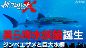 新プロジェクトＸ～挑戦者たち～　美ら海水族館誕生～ジンベエザメと巨大水槽～