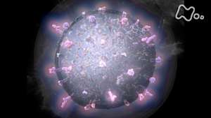 シリーズ　人体　神秘の巨大ネットワーク　第七集　“健康長寿”究極の挑戦（最終回）