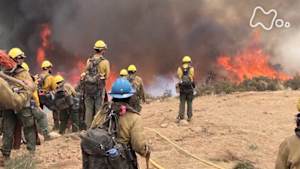 ＢＳ１ＳＰ　大火災　森林・都市を襲うメガファイアの脅威　前編