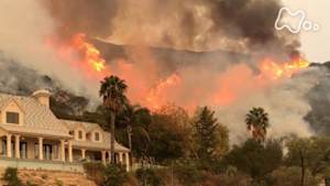 ＢＳ１ＳＰ　大火災　森林・都市を襲うメガファイアの脅威　後編