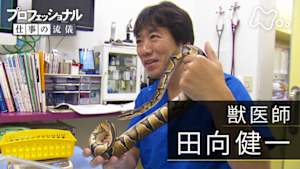 プロフェッショナル　田向健一（獣医師）