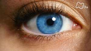 Ｎスペ　わたしたちの“目”が危ない　超近視時代サバイバル