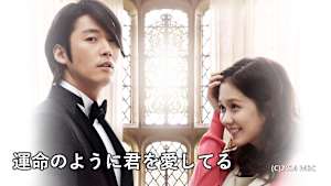 運命のように君を愛してる